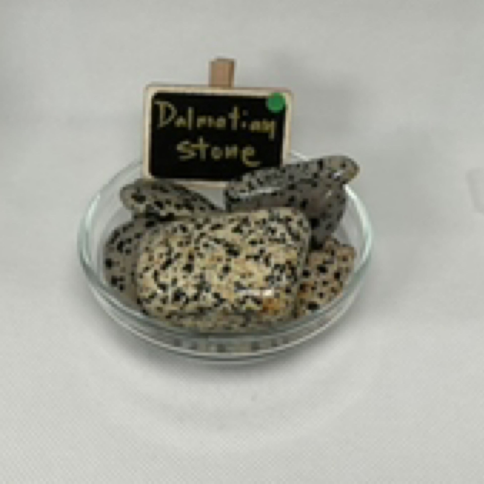 Dalmatian Stone Tumble