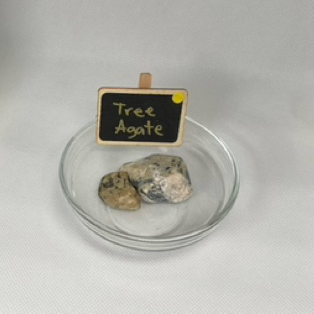 Tree Agate Tumble